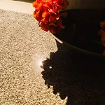 Chiado Gem Private Pool & Patio Retreat Lejlighed Lisboa
